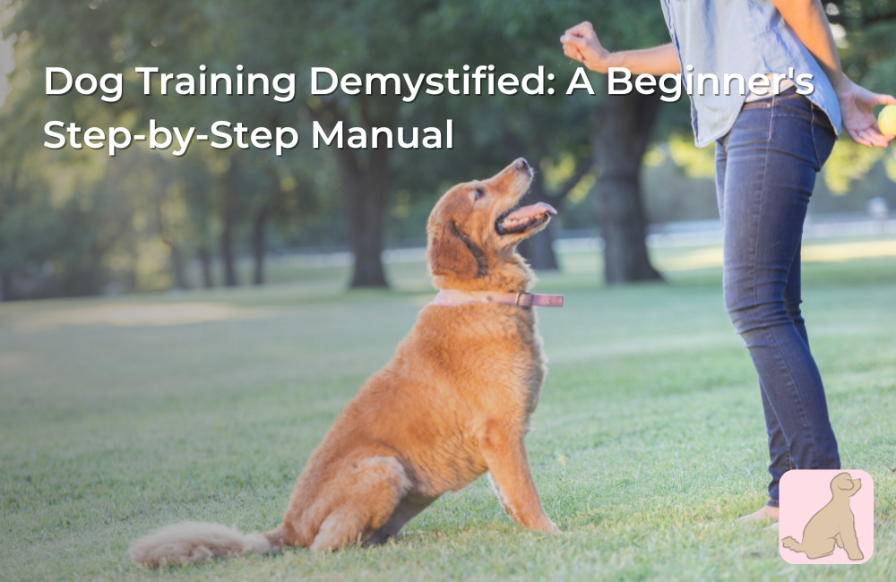 Dog Training Demystified: A Beginner's Step-by-Step Manual