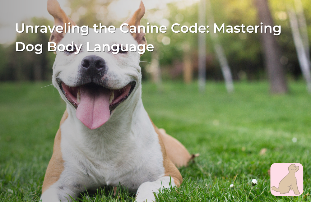 Unraveling the Canine Code: Mastering Dog Body Language