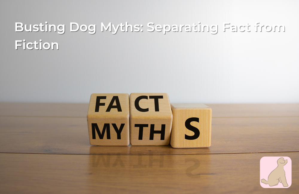 Busting Dog Myths: Separating Fact from Fiction