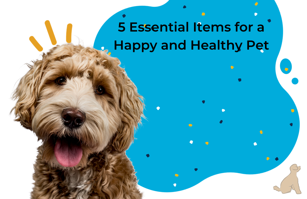 5 Essential Items for a Happy and Healthy Pet