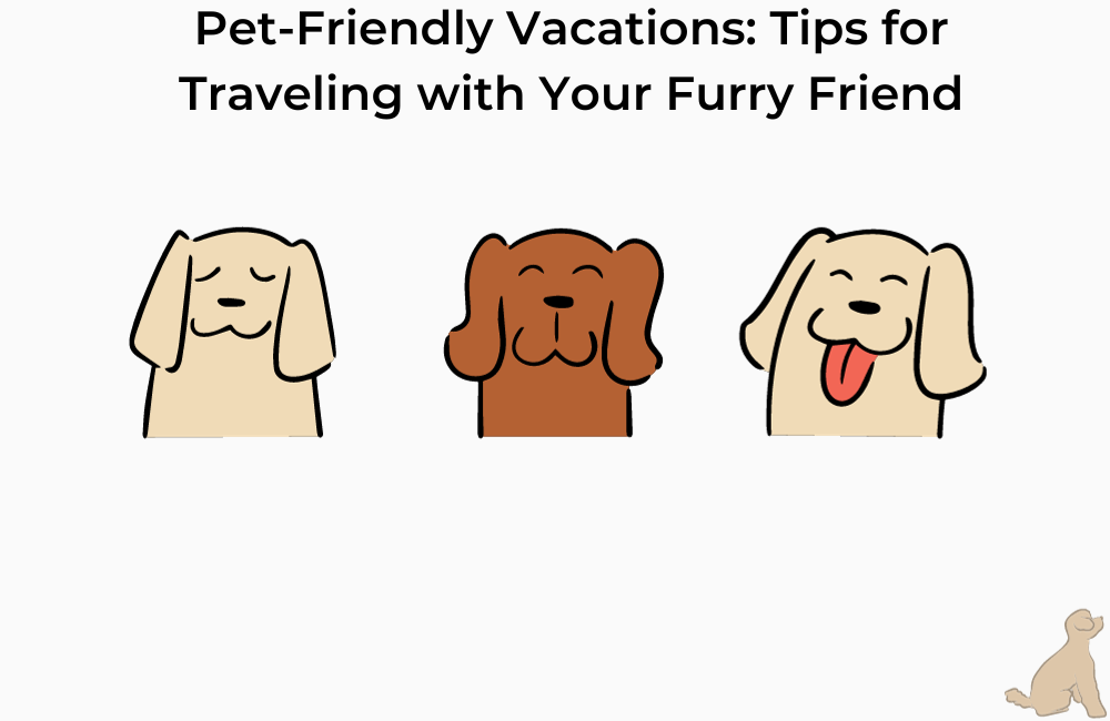 Pet-Friendly Vacations: Tips for Traveling with Your Furry Friend