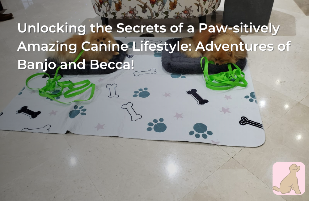 Unlocking the Secrets of a Paw-sitively Amazing Canine Lifestyle: Adventures of Banjo and Becca!