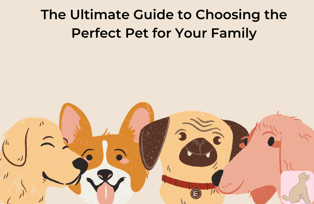 The Ultimate Guide to Choosing the Perfect Pet for Your Family