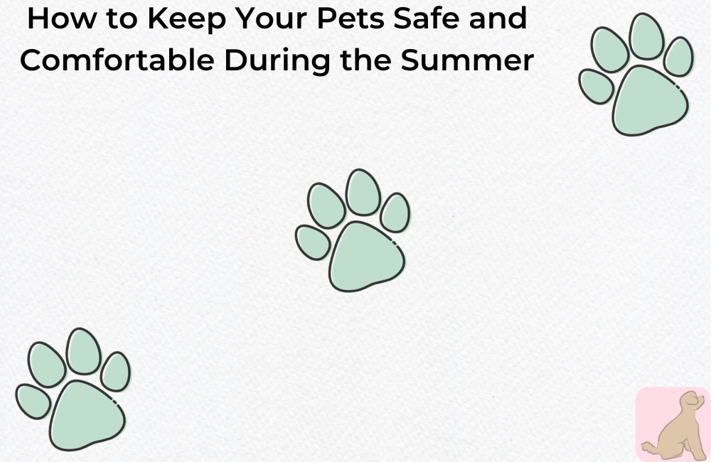 How to Keep Your Pets Safe and Comfortable During the Summer