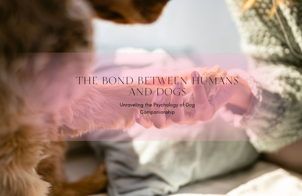 The Bond between Humans and Dogs: Unraveling the Psychology