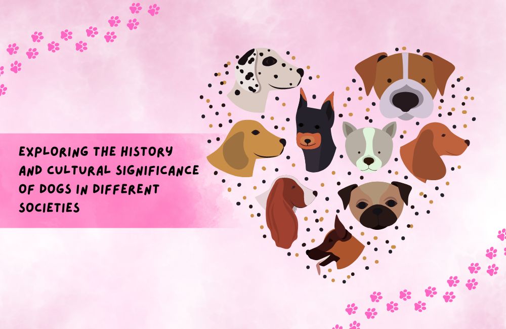 Exploring the History and Cultural Significance of Dogs in Different Societies