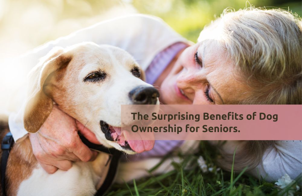 The Surprising Benefits of Dog Ownership for Seniors: Companionship and Health