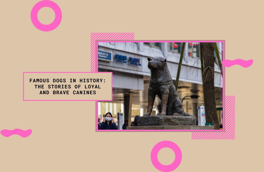 Famous Dogs in History: The Stories of Loyal and Brave Canines