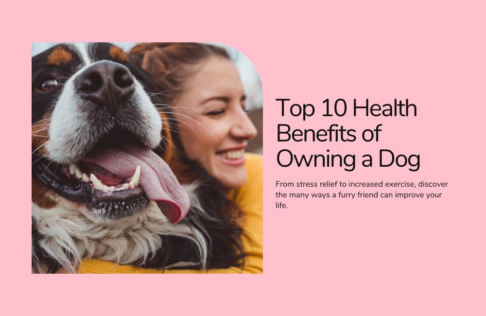 Top 10 Health Benefits of Owning a Dog