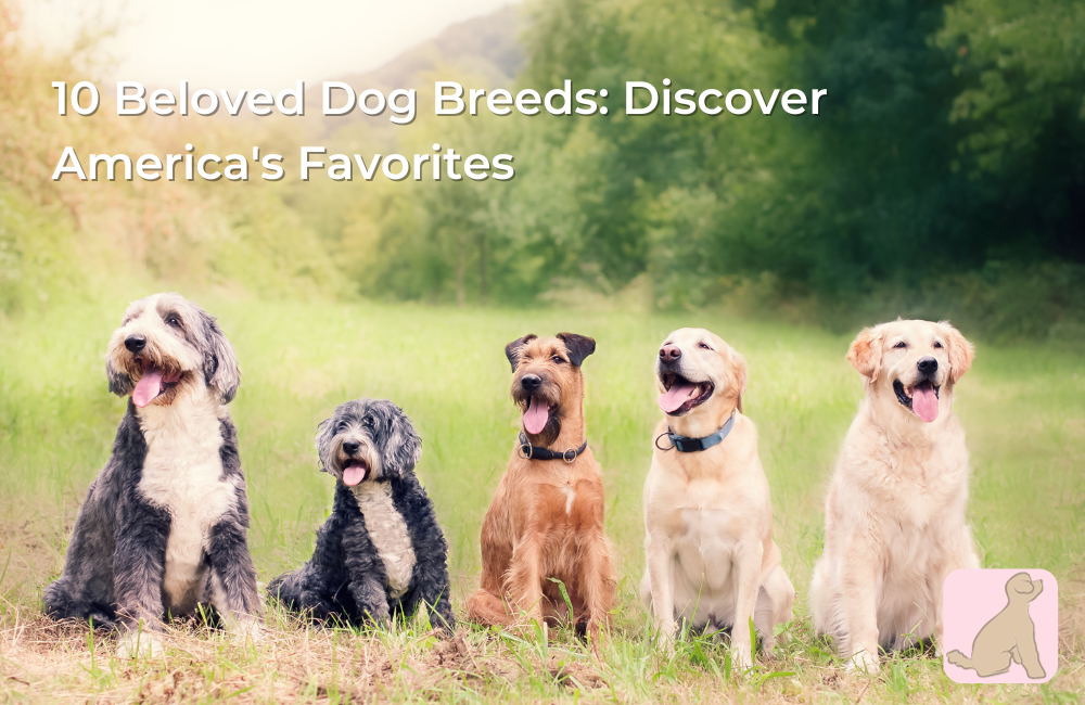 Top 10 Dog Breeds for First-Time Owners: Find Your Perfect Canine Companion