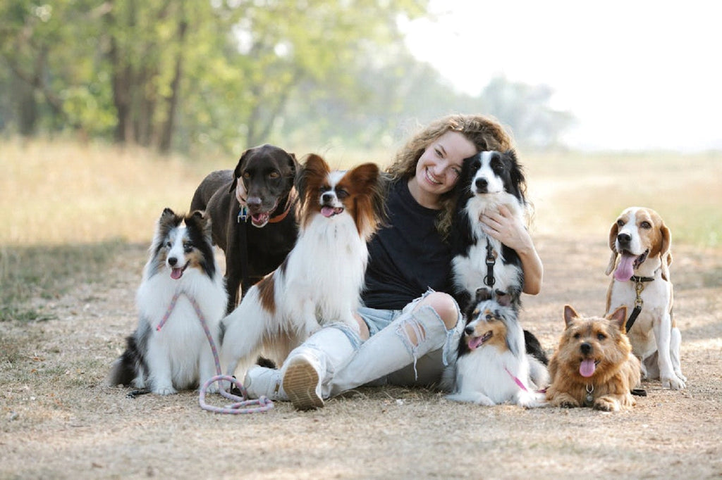 Starting a Pet Care Business Without Getting Overwhelmed