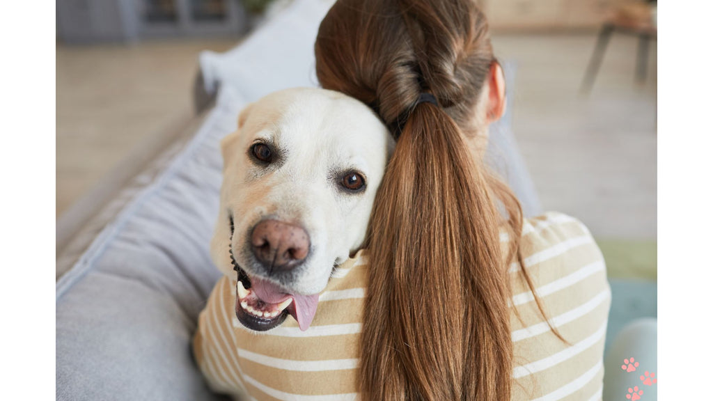 The Mutual Joy: Exploring the Beneficial Bond Between Dog and Owner