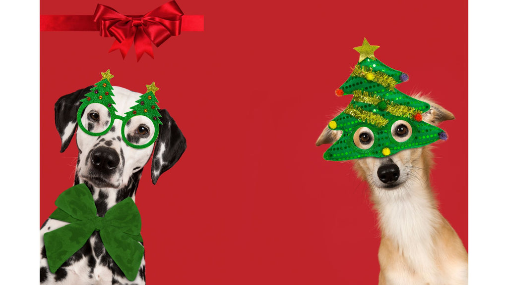 Beware of Holiday Hazards: Keeping Your Dog Safe This Festive Season