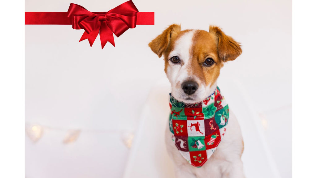 The Joy of Gifting the Perfect Loving Companion - A Dog for the Holidays!