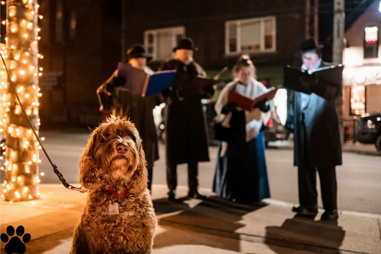 Canine Caroling: A Festive Blend of Barks and Cheer