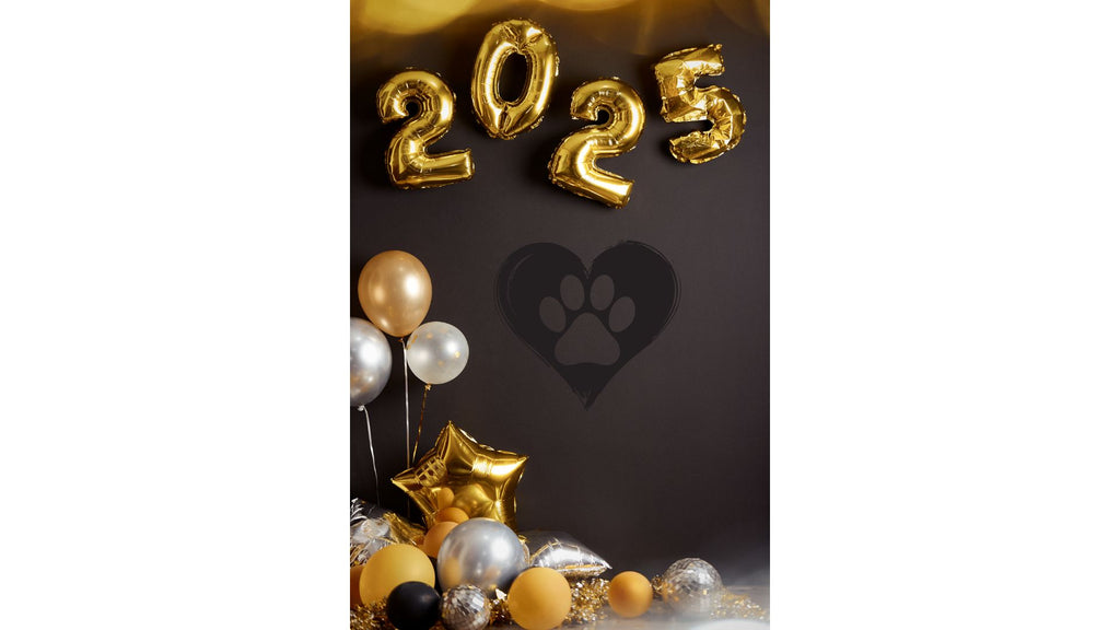 Celebrating New Year's Eve with Your Furry Companion: A Guide to Keeping Dogs Safe and Happy