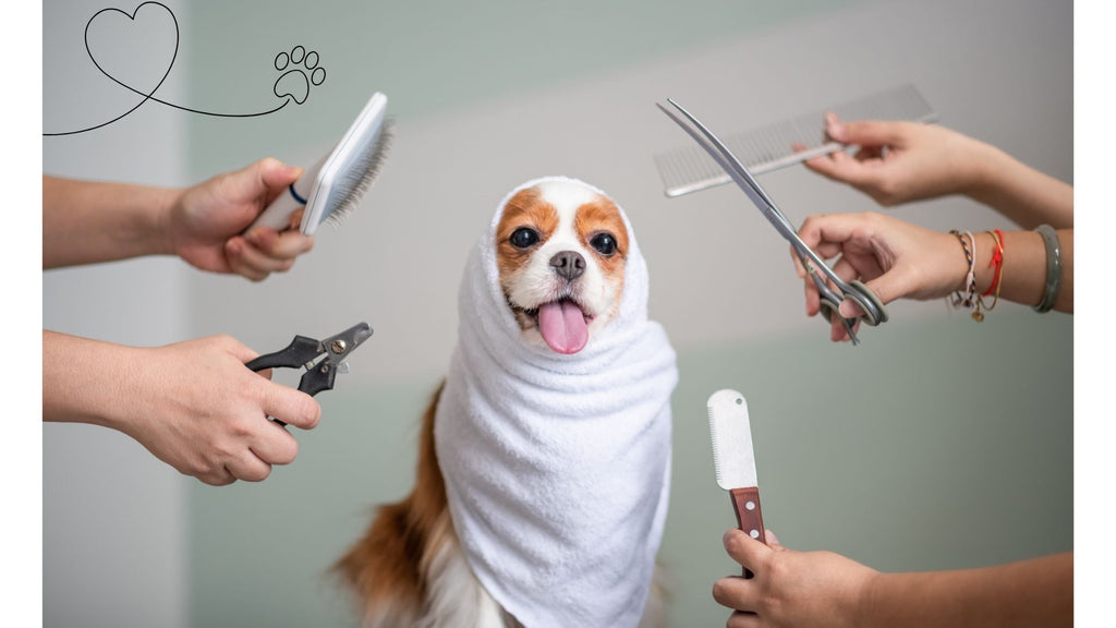 Ultimate Guide to Dog Grooming This February