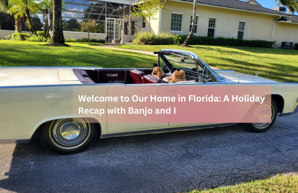 Welcome to Our Home in Florida: A Holiday Recap with Banjo and I