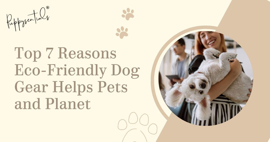 Eco-Friendly Pet Gear: Why Sustainable Materials Matter