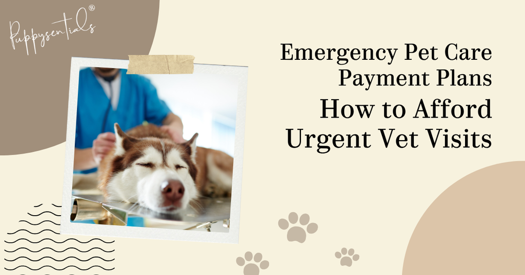 Emergency Pet Care Payment Plans: How to Afford Urgent Vet Visits