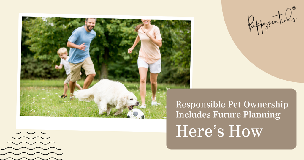 Responsible Pet Ownership Includes Future Planning—Here’s How