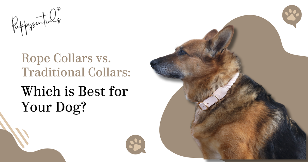 Rope Collars vs. Traditional Collars: Which is Best for Your Dog?