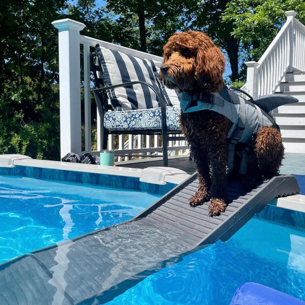 Dog Ramps for Cars, Beds & Pools | Puppysentials
