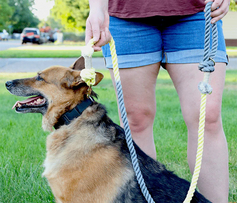 Signature Leashes