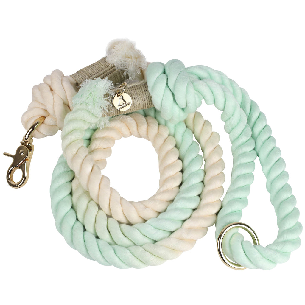 Hand-dyed mint green and blush pink cotton rope dog leash coiled with gold hardware clasp, O-ring, and Puppysentials charm, showing artisan handmade design.