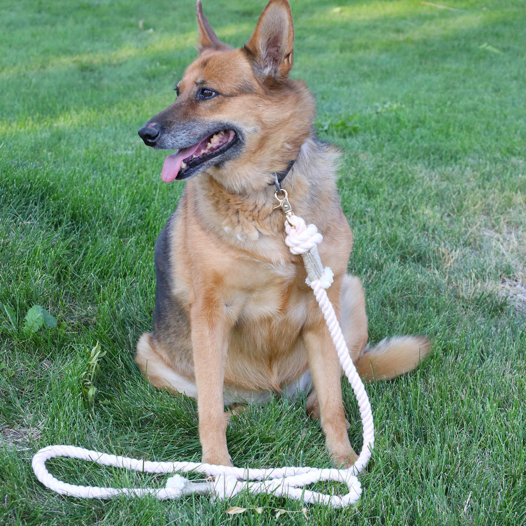 German Shepherd sitting on grass wearing a light pink handmade cotton rope dog leash with gold hardware. Stylish, durable, and comfortable for everyday walks.