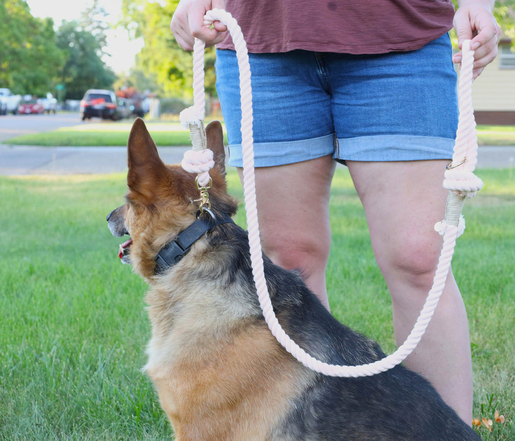 German Shepherd on a handmade light pink cotton rope dog leash held by owner, showing durable gold hardware, soft cotton and outdoor use.