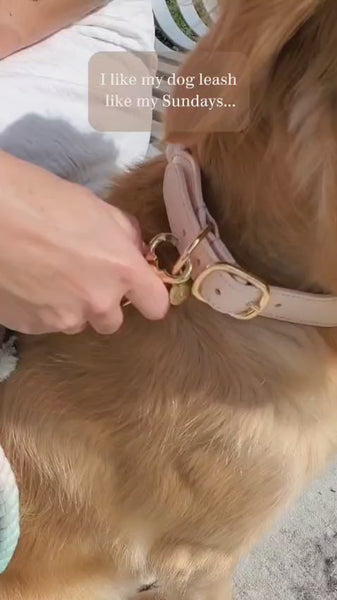Close-up video of the mint green and soft pink ombré rope dog leash being handled and clipped to a dog plus the dog walking on the rope dog leash.