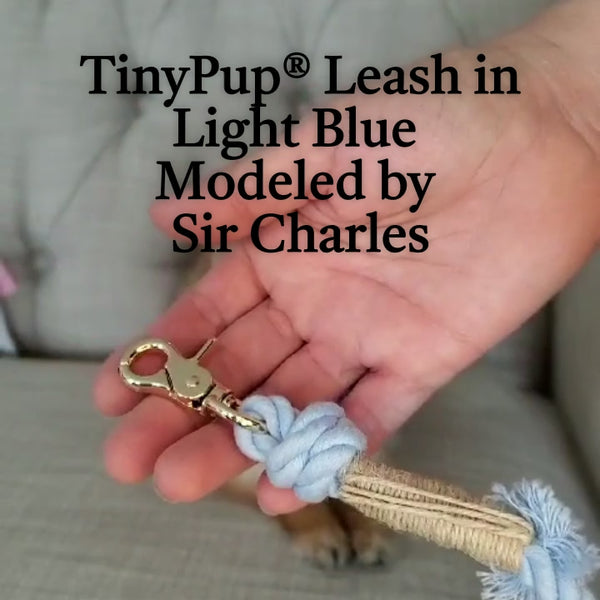 Video showing TinyPup small dog rope leash in light blue modeled by a tiny dog