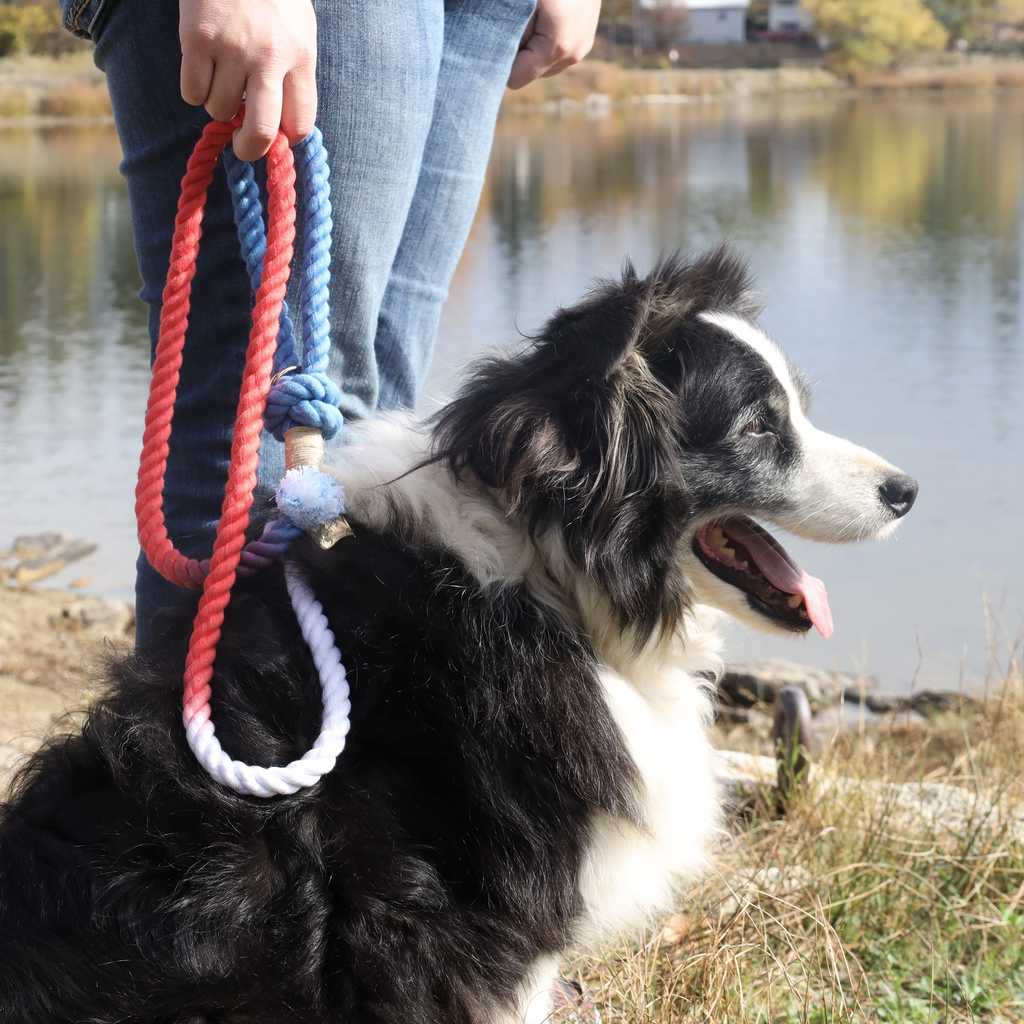 Puppysentials rope dog leash in red white and blue on dog by lake during walk